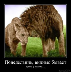 http://oji-team.ru/forum/extensions/hcs_image_uploader/uploads/0/2500/2983/thumb/p16bfbqj8i1orm1g55127t1d2t1cu85.jpg